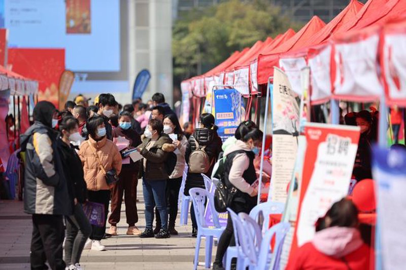 福建招聘市场动态：机遇与挑战并存